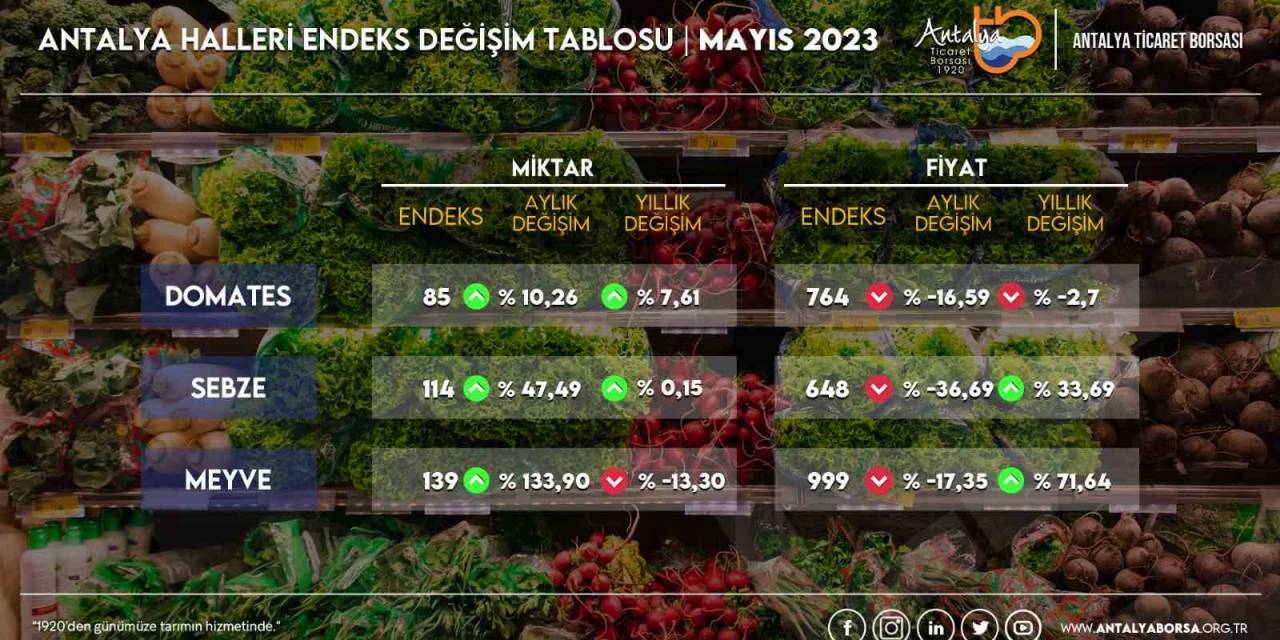 Antalya’da Sebze Fiyatlarında Yüzde 36,69 Düşüş