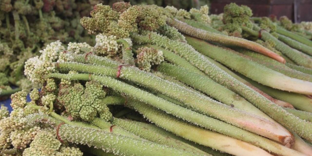 “yayla Muzu” Tezgâhlardaki Yerini Aldı