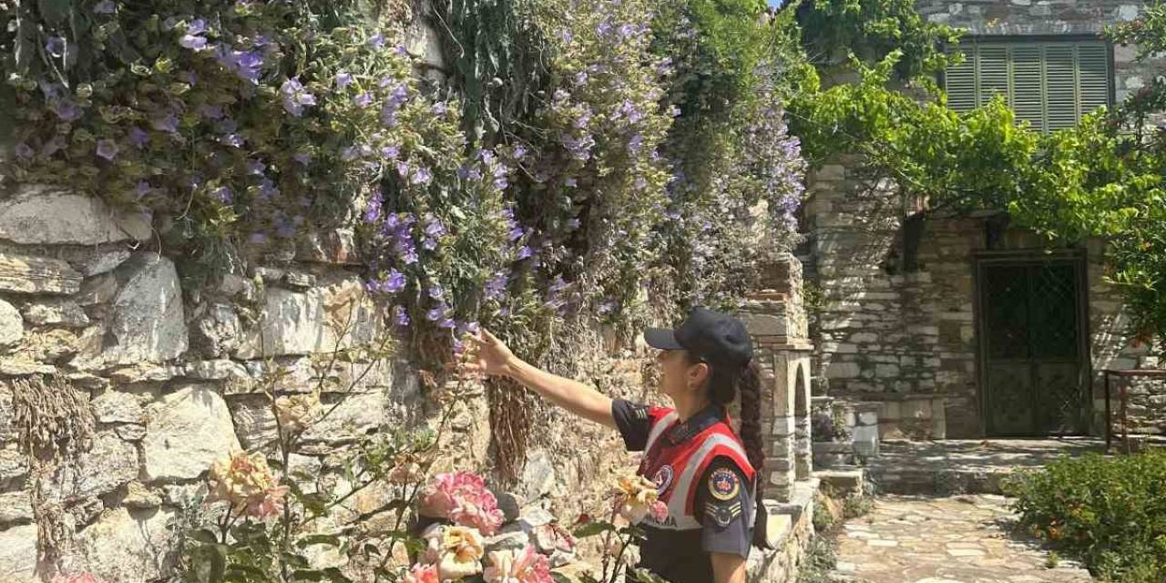 Jandarmadan Endemik Bitki Nöbeti
