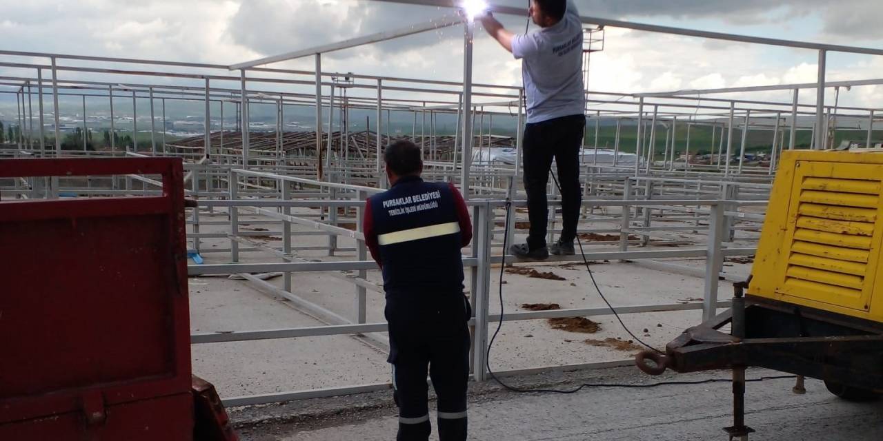 Pursaklar Kurban Bayramı’na Hazırlanıyor