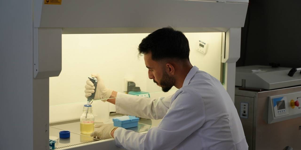 Karabük Üniversitesi 29 Alanda En İyi Üniversiteler Arasında