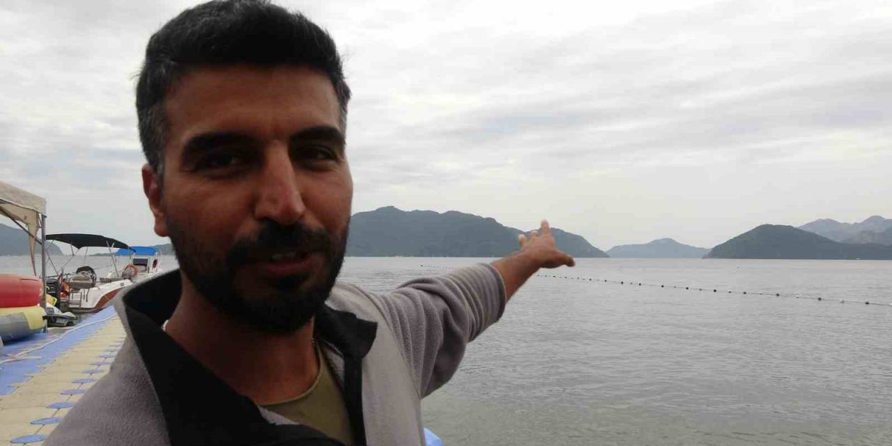 29 Yıl Sonra İç Sularda Tekrar Görüldü