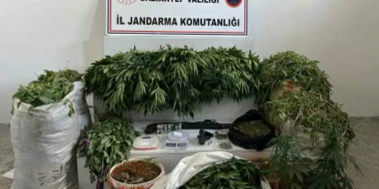 Jandarmadan Dev Uyuşturucu Operasyonu: 23 Bin 770 Kök Haşhaş Ele Geçirildi