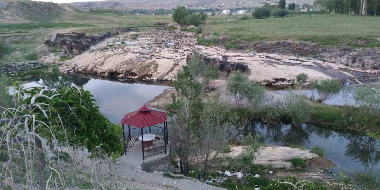 İnci Kefalinin Yaşamı Tehlike Altında