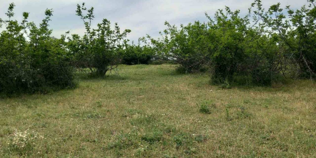 Kırklareli’ndeki Dehşet Olayla İlgili 2 Şüpheli Yakalandı