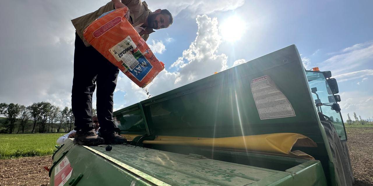 Yüksekova’da Ayçiçeği Ekimi