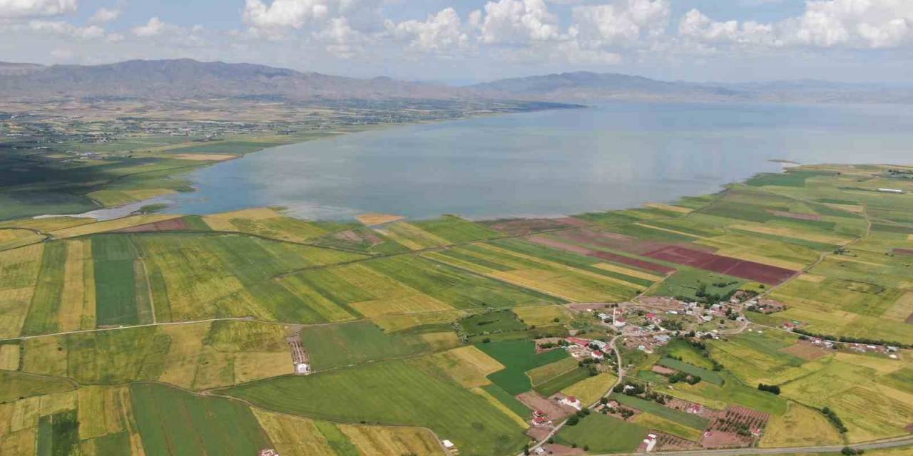 Önceden Çölü Andıran Baraj Sahası Suyla Doldu