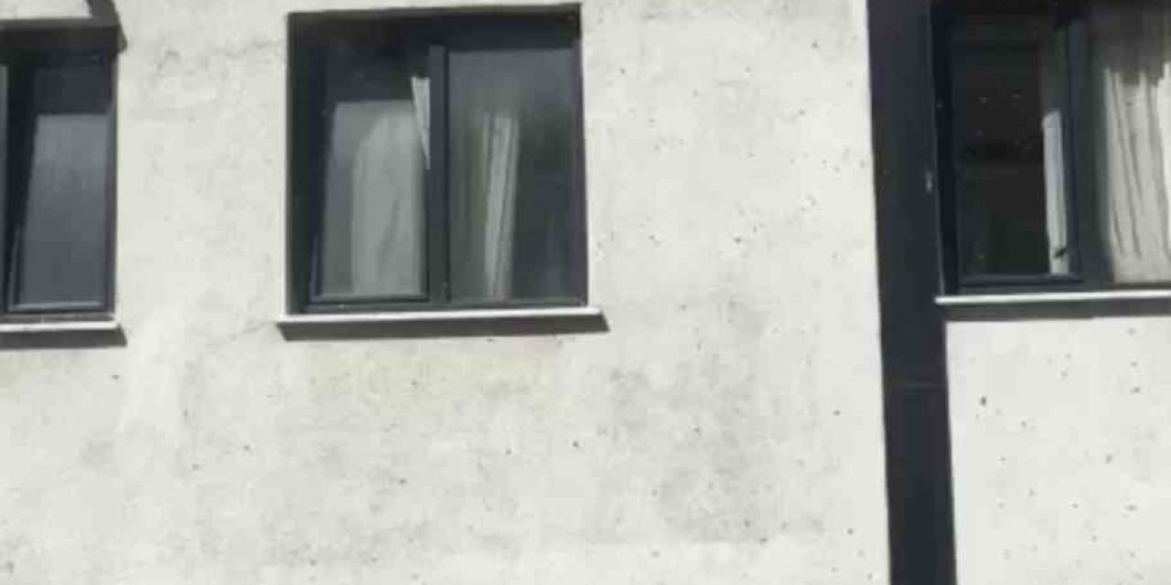 Kağıthane’de Toplu Arı Paniği Kamerada: Vatandaşlar Pencereleri Açamadı