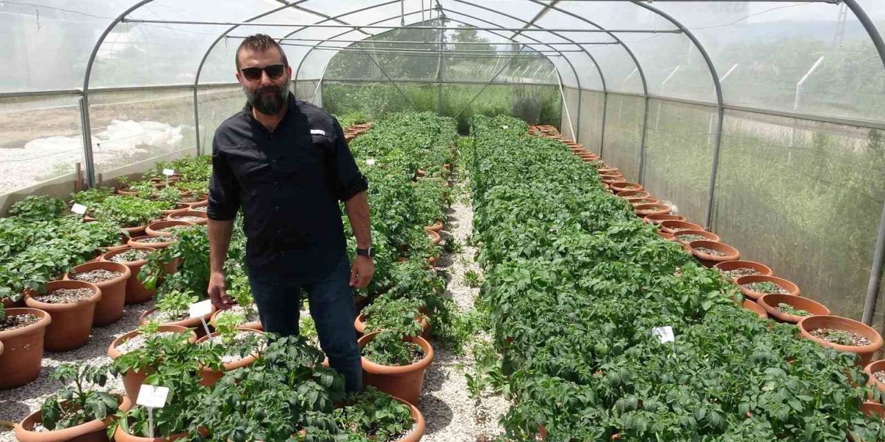 Islah Çalışması Yapılıyor, Yüksek Fiyatlara Çözüm Olacak