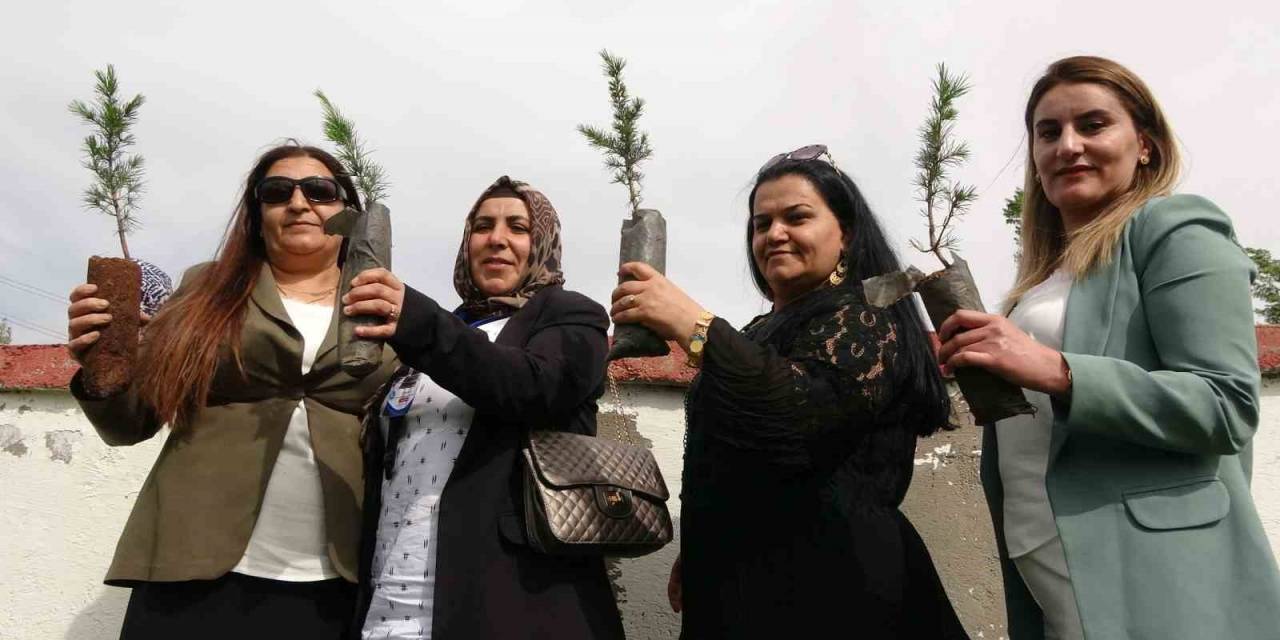 Yüksekovalı 100 Kadın, 100 Fidan Dikti