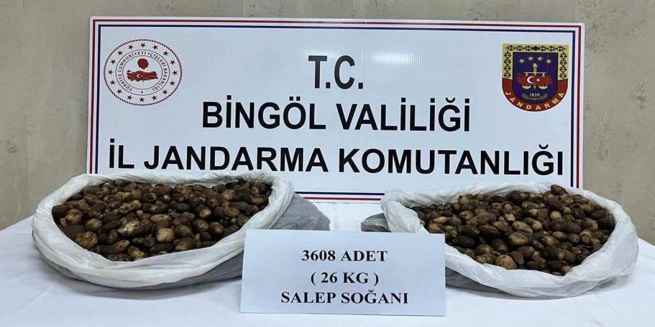 Bingöl’de Salep Soğanı Toplayan Şahıslara 488 Bin 630 Lira Para Cezası Kesildi