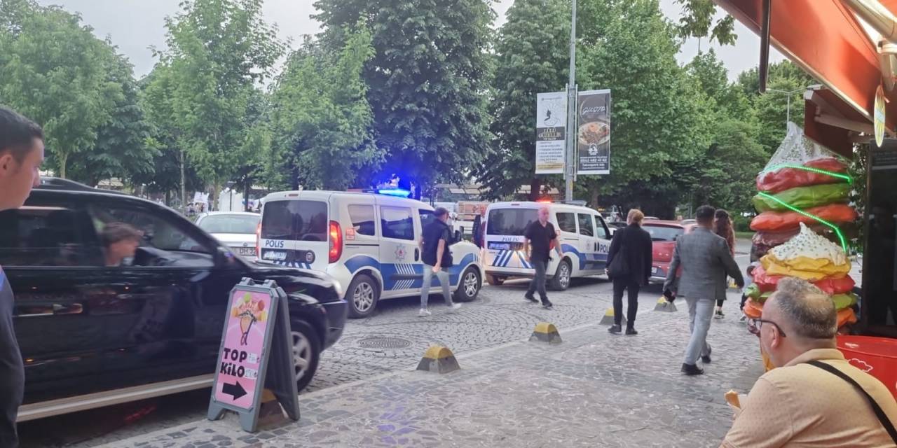 Millet Bahçesinde Yanan Palmiye İtfaiyeyi Harekete Geçirdi