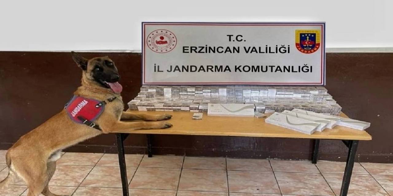 Erzincan’da Jandarma Ekipleri Kaçakçılık Olaylarına Geçit Vermiyor