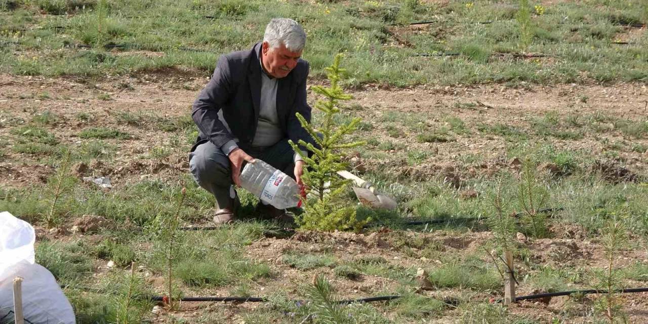 Her Yıl Binlerce Fidanı Toprakla Buluşturuyor, Bozkırı Yeşile Büründürüyor