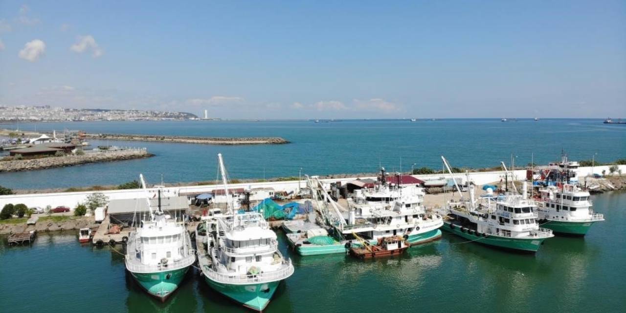 Hayvansal Ürün İhracatıyla Milyonlarca Döviz Türkiye’ye Girdi