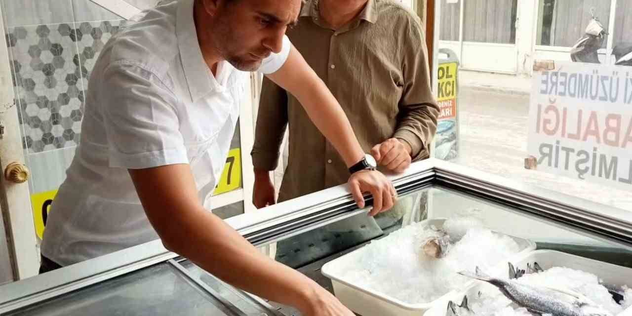 Serik’te Balık Satan İş Yerleri Denetlendi
