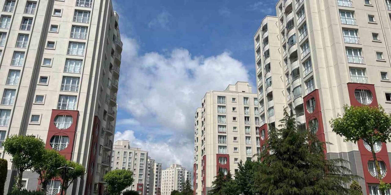 Başakşehir’de Site Yönetiminin Kedileri Toplayarak Boş Araziye Attığı İddiası Tepkiye Neden Oldu