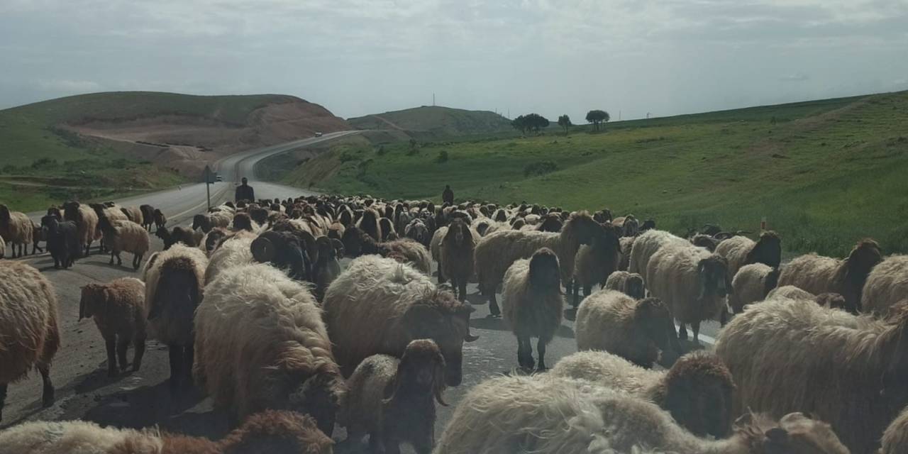 Göçerlerin Zorlu Yayla Yolculuğu Devam Ediyor