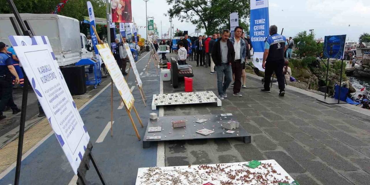 Kız Kulesi’nin Çevresi Dalgıçlar Tarafından Temizlendi