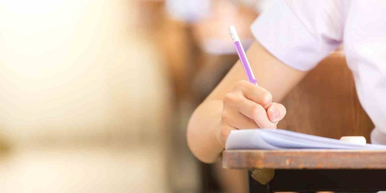 "2023 Lgs’de Türkçe Ve Fen Bilimleri Derslerinin Sıralamada Etkili Olacağı Öngörülüyor"