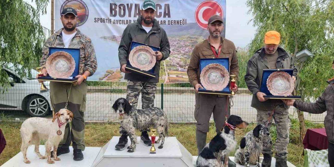 Avcı Köpekler İlk Sırayı Almak İçin Yarıştı