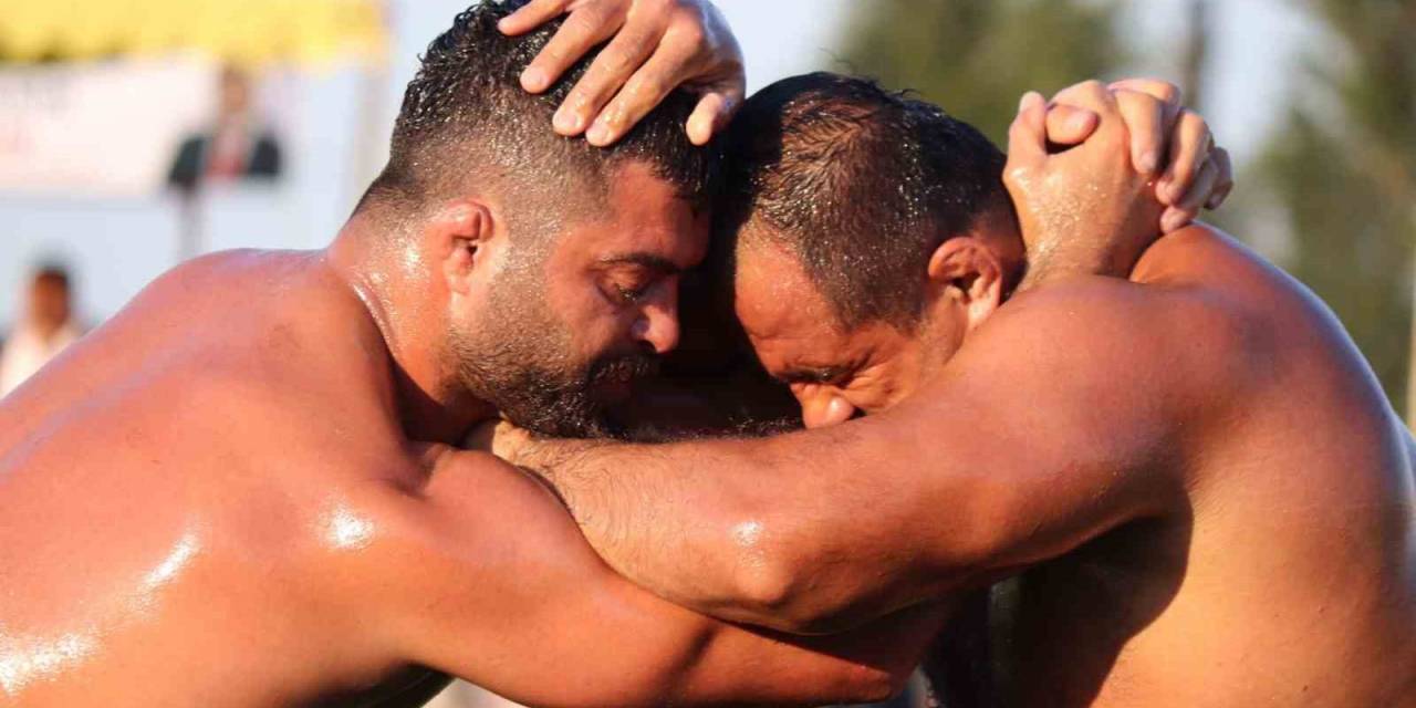 Kavasoğlu Ve Şamdancıbaşı İbrahim Yağlı Güreşleri Başpehlivanı Mustafa Batu Oldu