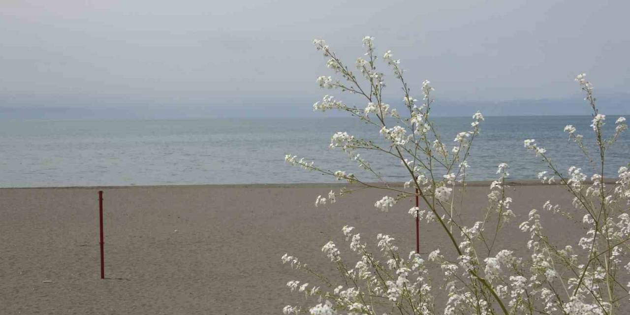 Van Gölü’nün Su Seviyesinde İyileşme Yaşanıyor