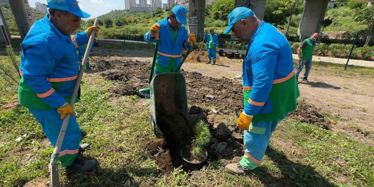 Başakşehir’in Fidan Üretim Merkezi Türkiye’ye Nefes Oluyor