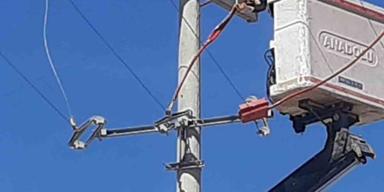 Toroslar Edaş, Hatlarını Yalıtarak Kuşların Çarpılmasını Önlüyor