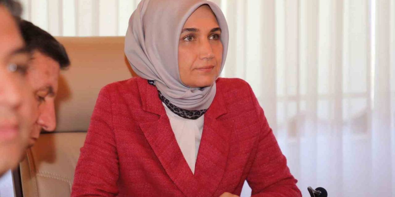 Vali Yiğitbaşı’ndan Orman Yangınları İle İlgili Vatandaşa Önemli Uyarı
