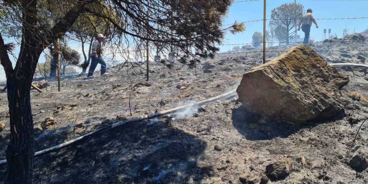 Ayvalık’ta Kırsal Alan Yangınına Bir Helikopter Ve İki Yangın Söndürme Uçağı İle Müdahale Edildi