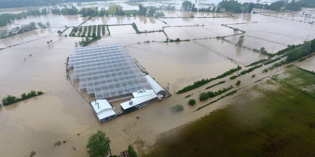 Sinop’ta Sel Çeltik Tarlalarını Ve Seraları Vurdu