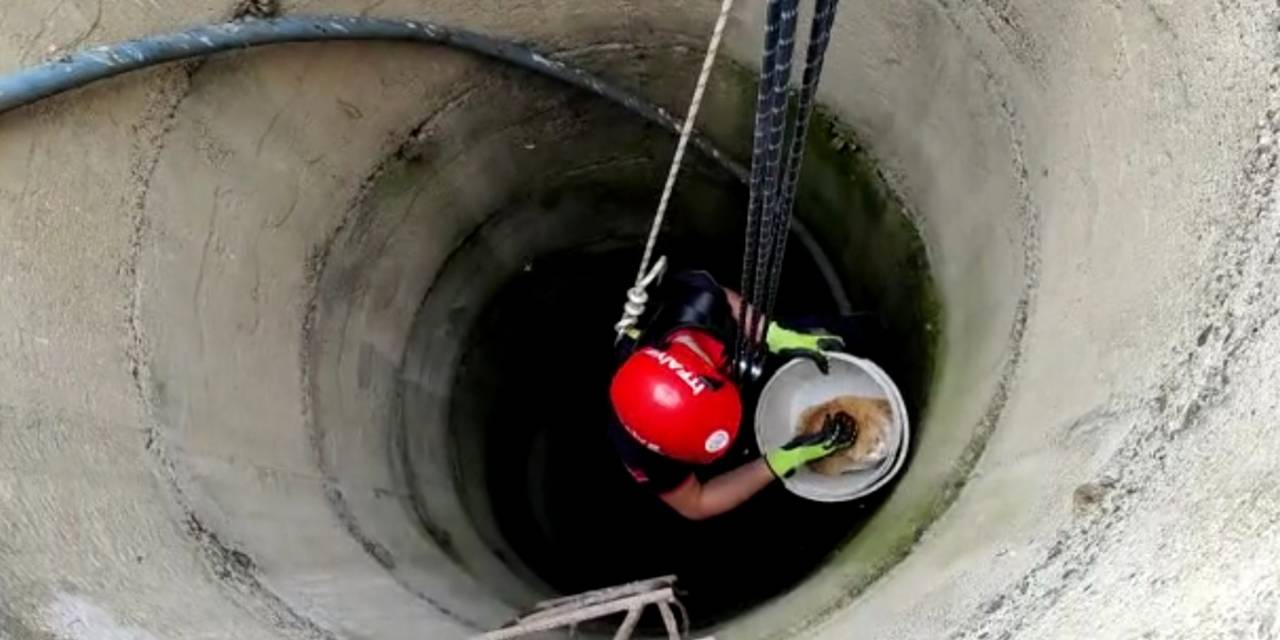 Kuyuya Düşen Kedinin İmdadına İtfaiye Yetişti