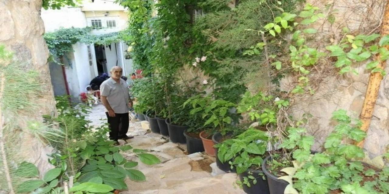 Mardin’de Tarihi Sokak Bahçeye Dönüştürüldü