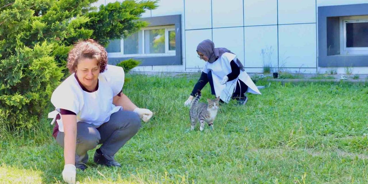 Kırklareli’nde Sağlık Çalışanları Çevre Temizliği Yaptı