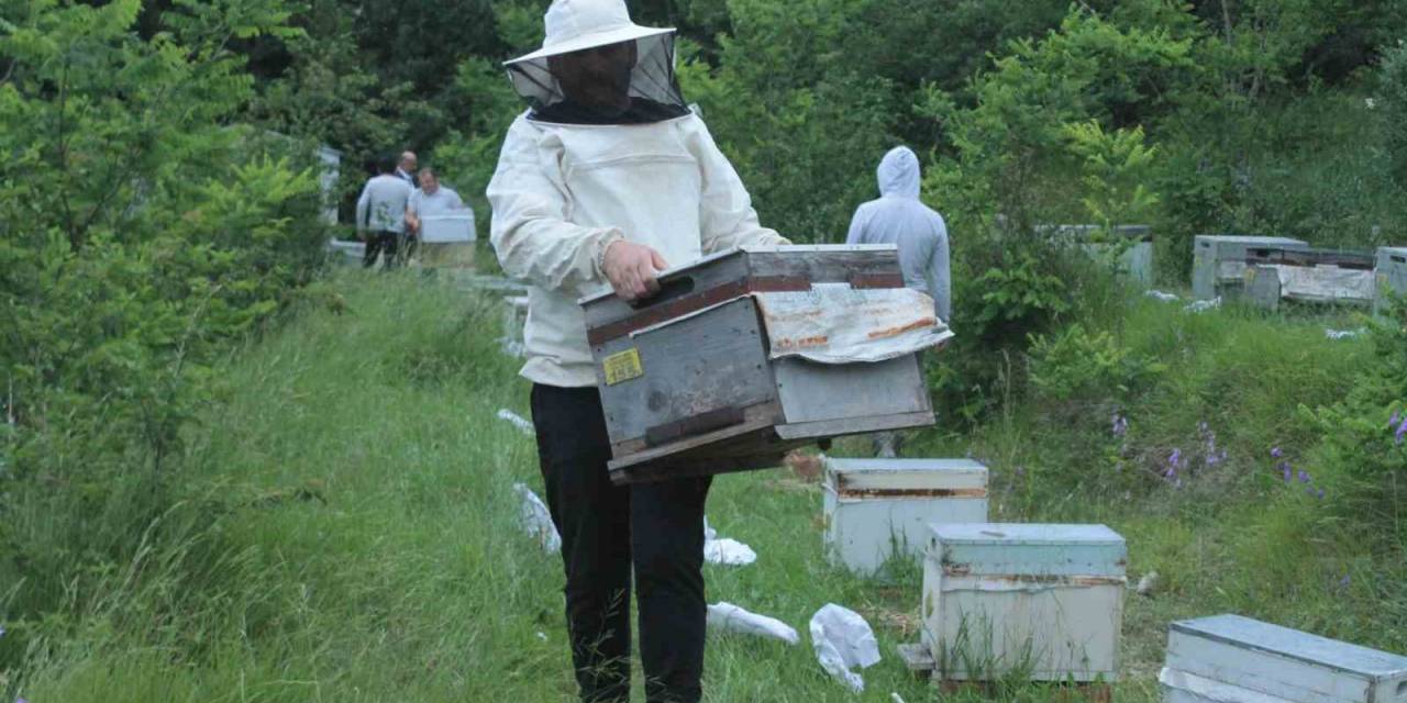 Ordulu Arıcılar ‘çiçek Balı’ İçin Yaylalara Göç Başlattı