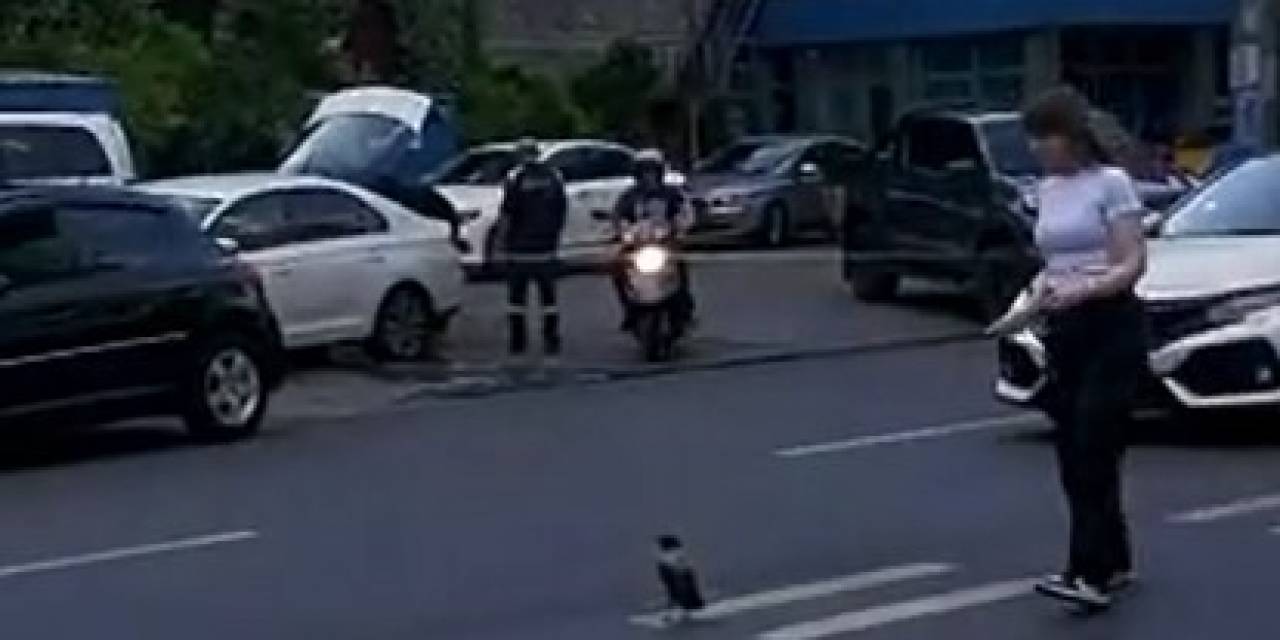 Trafiği Durdurup Yardım Etmek İstedi, Karganın Saldırısına Uğradı: O Anlar Kamerada