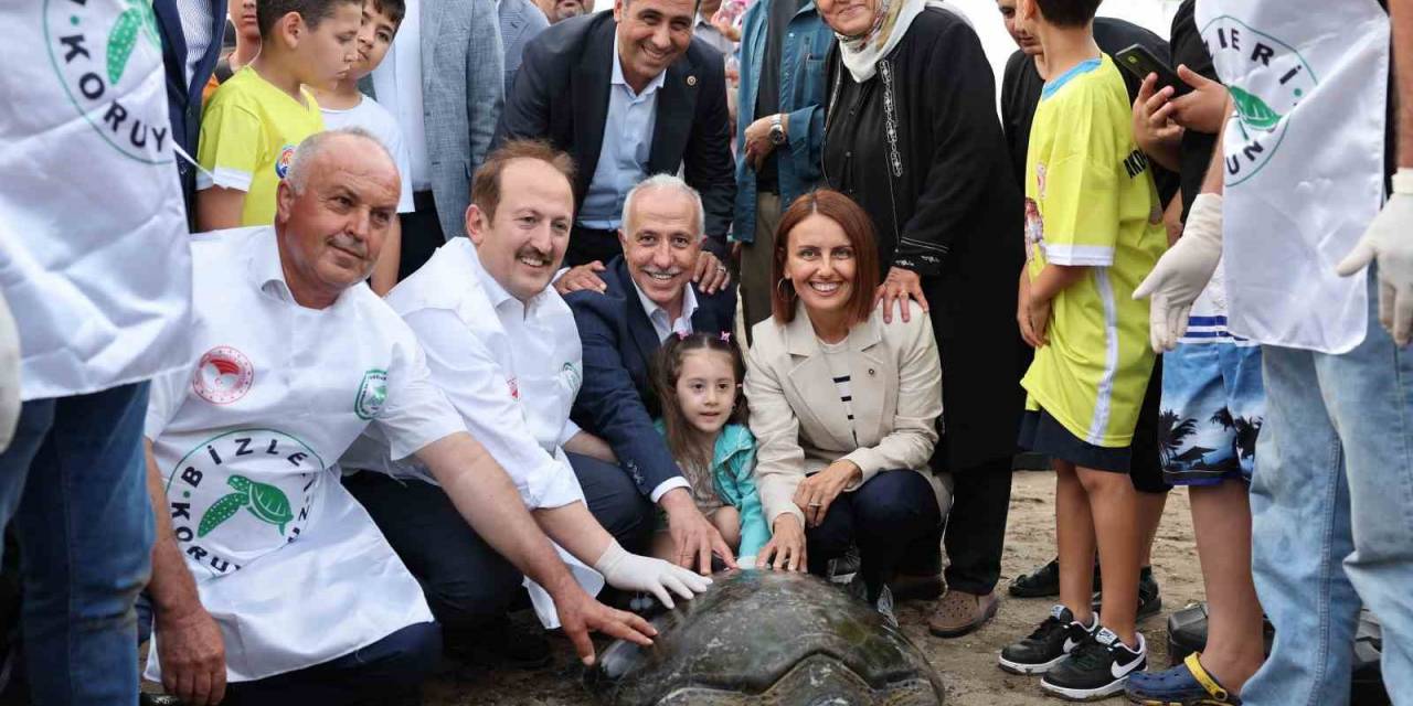 Tedavileri Tamamlanan Deniz Kaplumbağaları Denize Bırakıldı