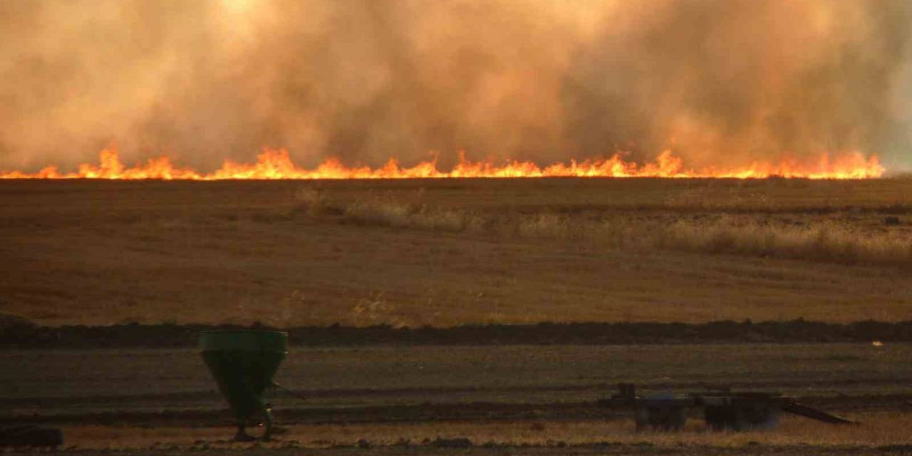 Tekin: “anız Yakmak Hem Çevre Hem De Toprak İçin Zararlı”