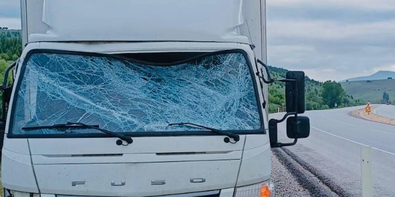 Trafik Uyarı Tabelasına Çarpan Kamyonet Sürücüsü Yaralandı