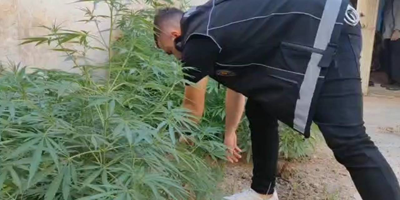 Uyuşturucudan Yakalanan Kadının Eski Kocası Da Uyuşturucudan Yakalandı