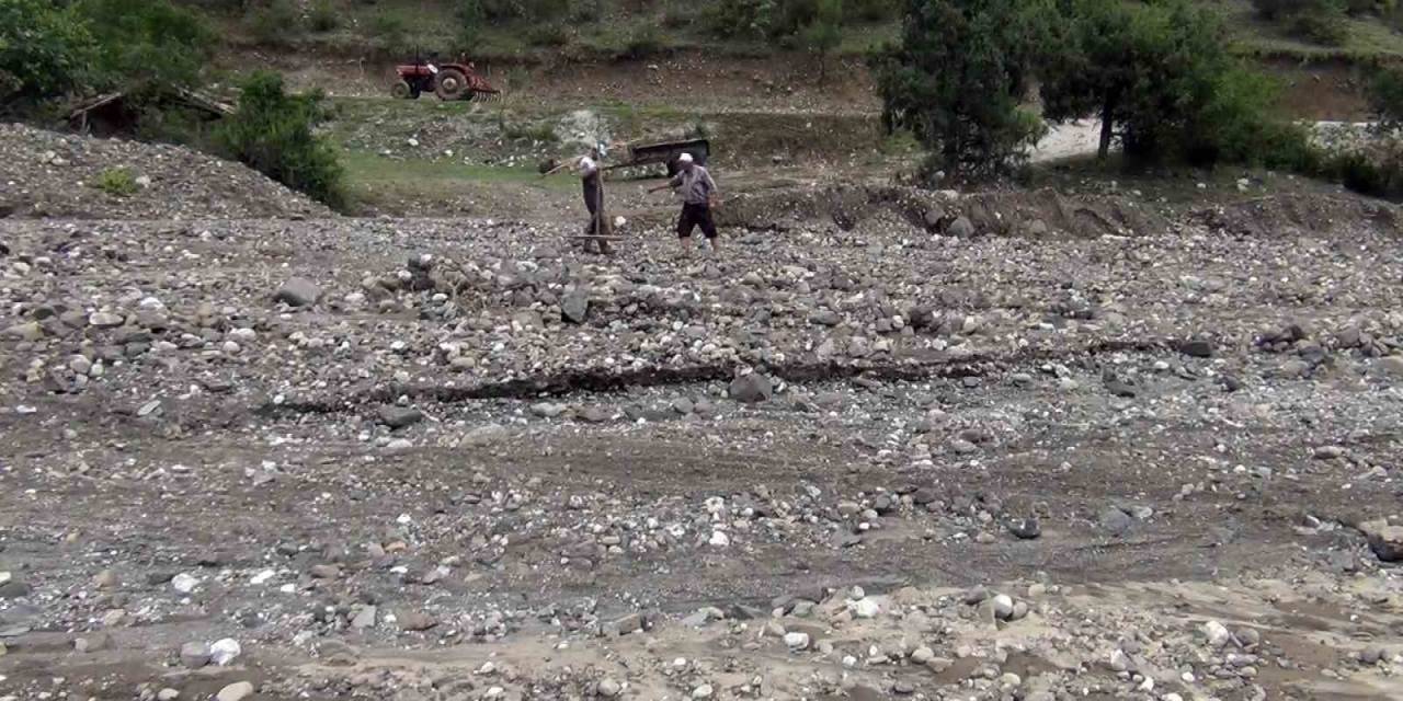 Sağanak Yağış Çeltik Arazilerine Zarar Verdi