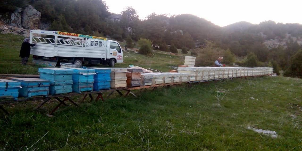 Hava Şartları Arıları Olumsuz Etkiledi