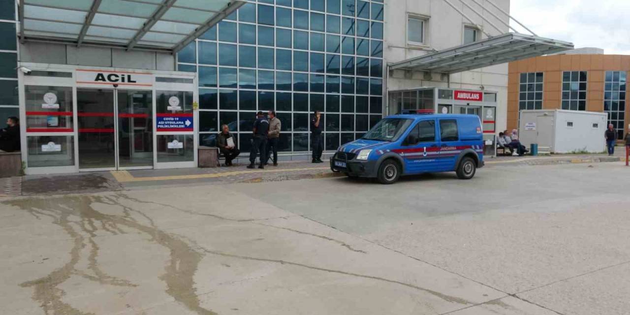 11 Yaşındaki Çocuk Ayı Saldırısı Sonucu Ağır Yaralandı