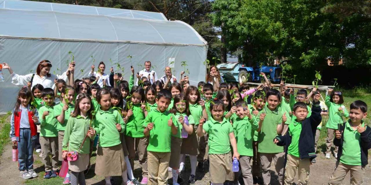Minik Eller Fidanları Toprakla Buluşturdu