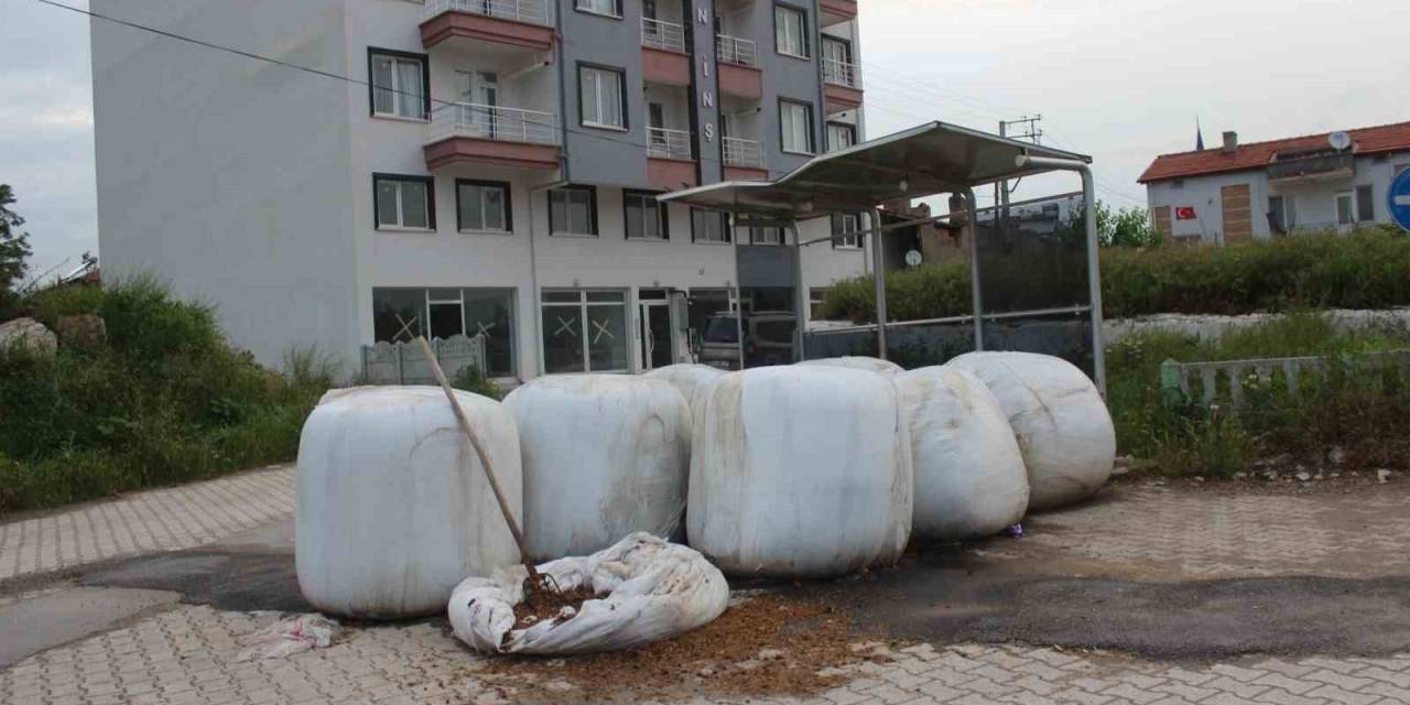Afyonkarahisar’ın Mezrayı Hatırlatan 6 Bin Nüfuslu Mahallesi