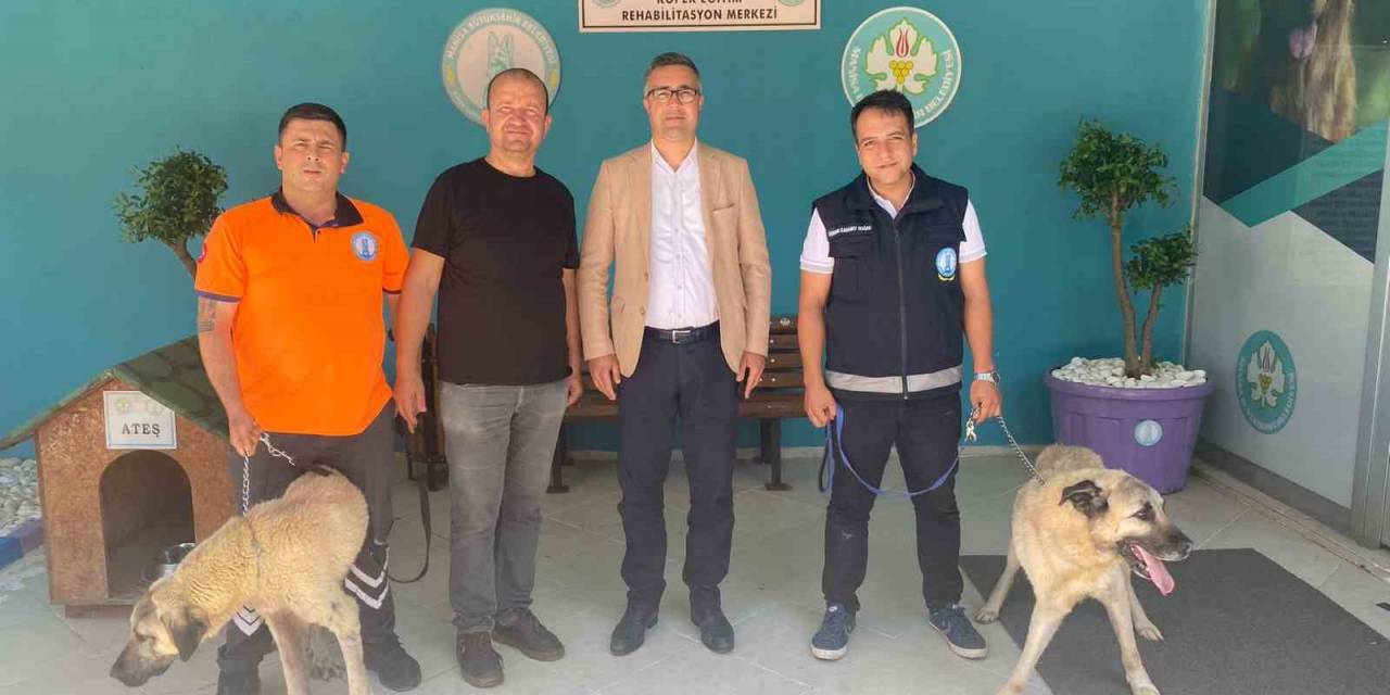 ‘ateş’ Ve ‘kiraz’ Çiftçiye Can Yoldaşı Olacak