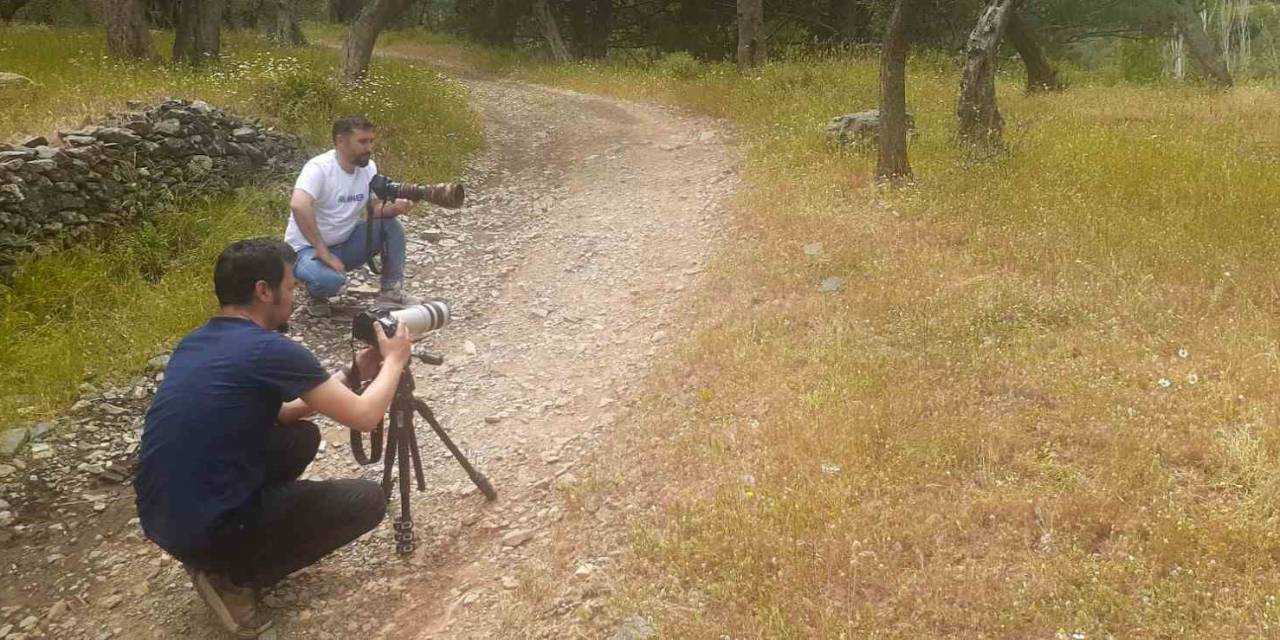 Tedavi Edilen Yaralı ’ağaç Kamışçını’ Kaldığı Yerden Göç Yolculuğuna Devam Etti