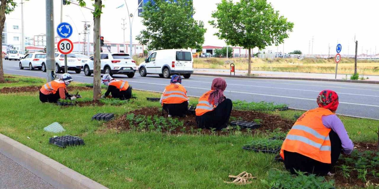 Diyarbakır 700 Bin Mevsimlik Çiçekle Süslendirildi