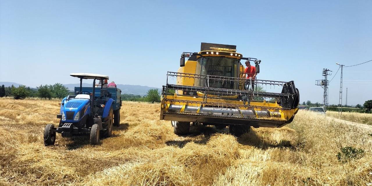 Osmaniye’de Buğday Alım Fiyatı Ve Verimi Çiftçinin Yüzünü Güldürdü